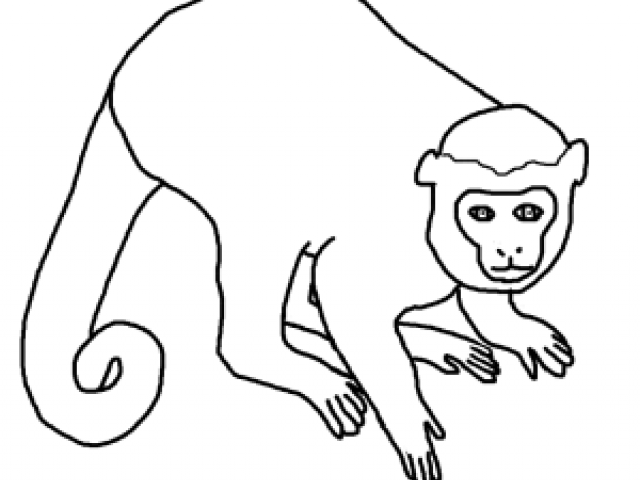 640x480 Drawing Clipart Monkey