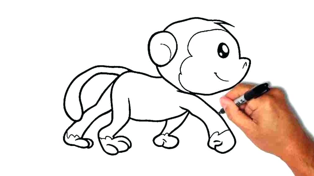 1011x569 How To Draw Monkeys How To Draw A Monkey Complete The Drawing Draw