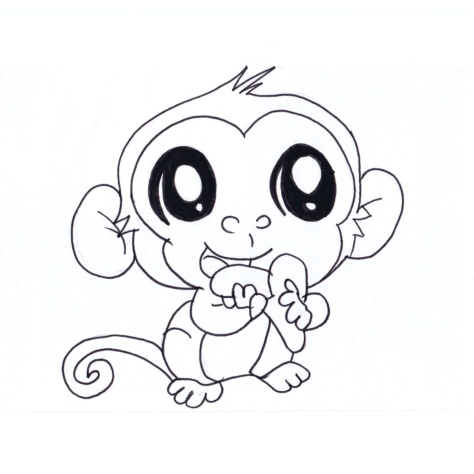 1599x1600 Monkey Drawing Cute