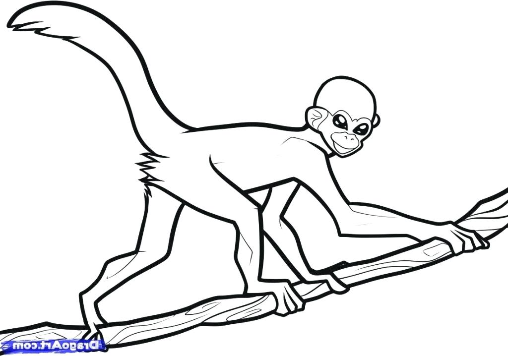 1024x718 Easy To Draw Monkeys