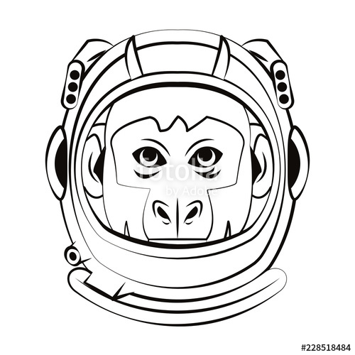 500x500 Monkey Face Cool Sketch Stock Image And Royalty Free Vector