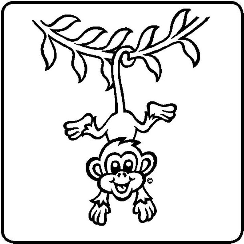 794x794 Hanging Monkeys Wall Decal Removable Monkey Wall Sticker Etsy