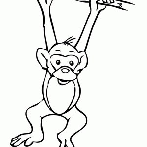 300x300 Images Of Monkey Hanging From Tree Coloring Pages