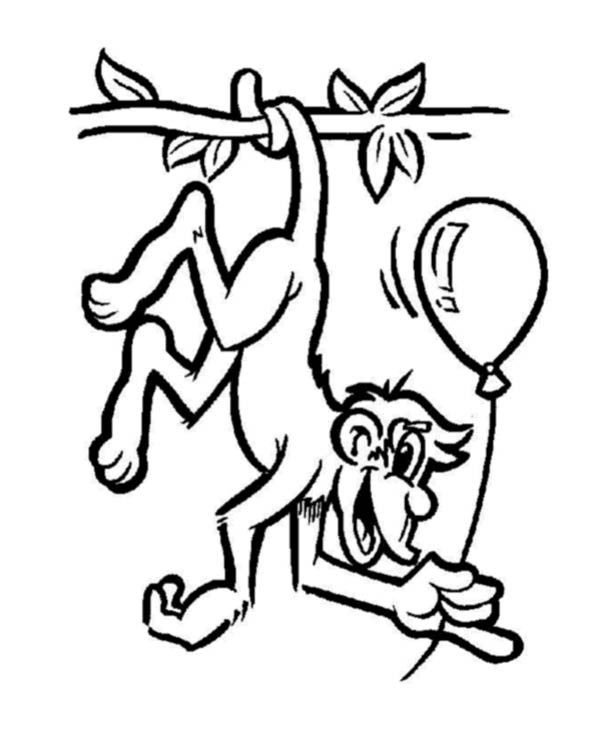 600x734 Monkey Coloring Pages Hanging Monkey Coloring Pages Monkey Free