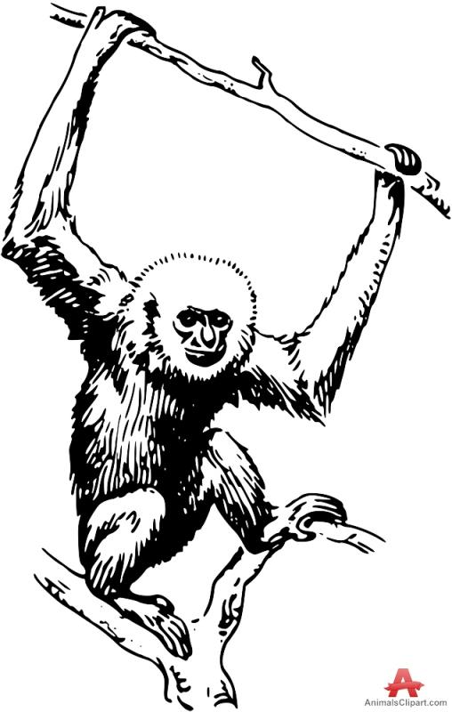 508x800 Monkey Hanging From A Tree Clipart