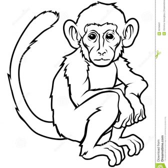 336x336 Monkey Drawing Images Cartoon Pdf Head Easy Step