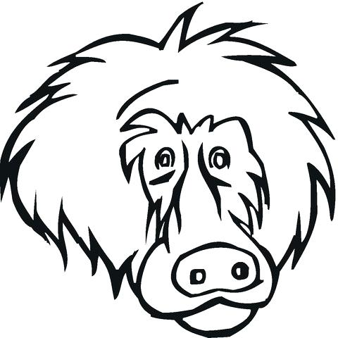 480x480 Drawings Of Baboons