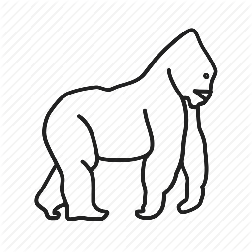 512x512 Drawing Gorilla Line Transparent Png Clipart Free Download