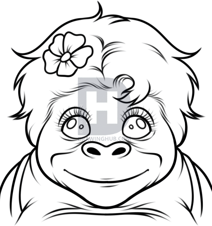 676x720 How To Draw A Baby Monkey, Step