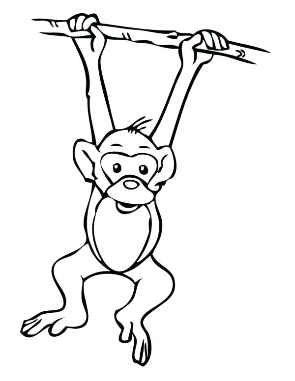 Monkey Outline Drawing | Free download on ClipArtMag