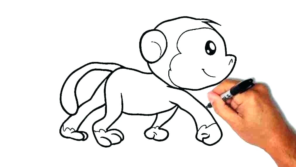 1011x569 Monkey Face Outline How