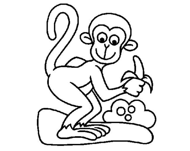 650x517 Outline Of A Monkey