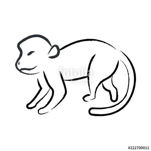 500x500 Outline Draw Monkey Stock Image And Royalty Free Vector