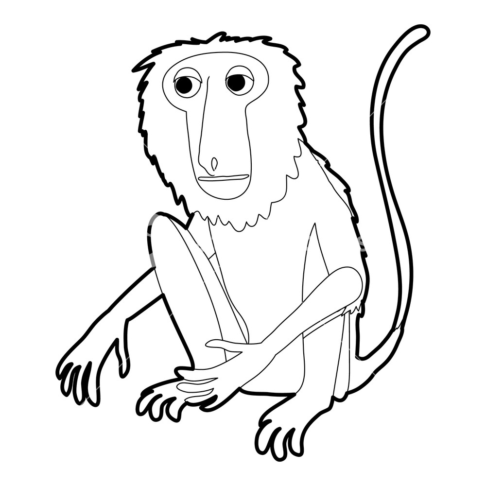 1000x1000 Sitting Monkey Icon In Outline Style Isolated On White Vector