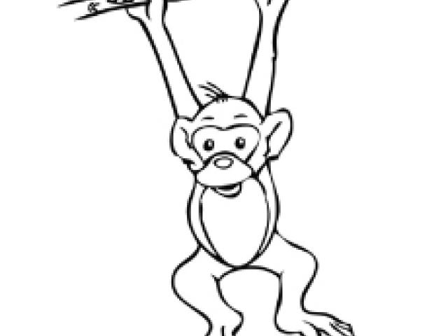 640x480 Drawn Monkey