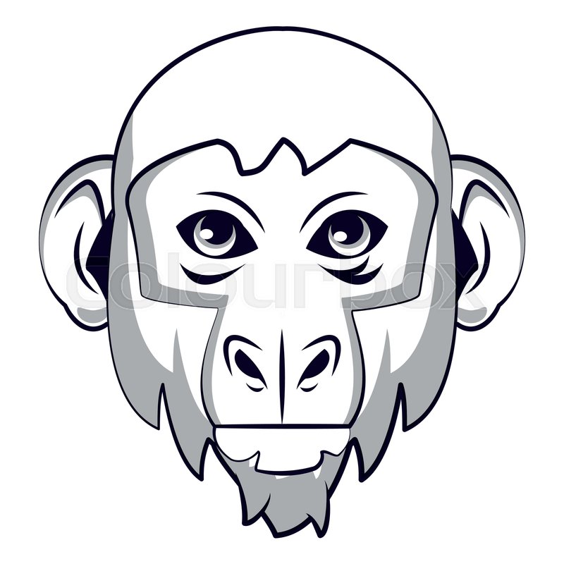 800x800 Huge Collection Of 'monkey Face Drawing' Download More Than