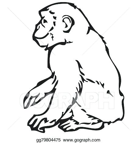 450x470 A Drawing Of A Monkey Drawing Monkey Face