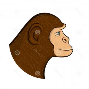 300x300 Stock Illustration Pencil Drawing Monkey Vector Illustration
