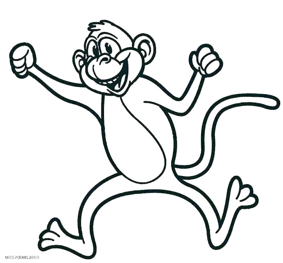 914x850 Monkey Drawing Cute
