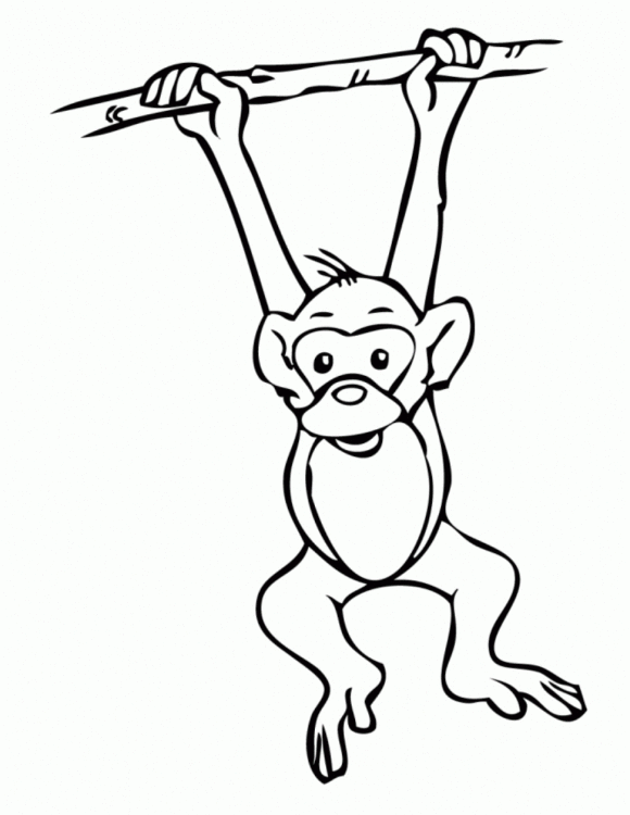 580x750 Huge Collection Of 'monkey Outline Drawing' Download More Than