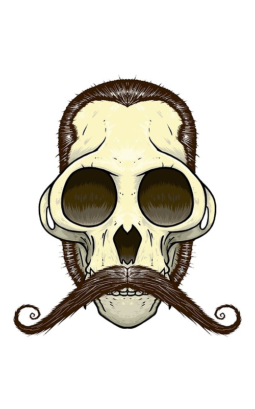 Monkey Skull Drawing Free download on ClipArtMag