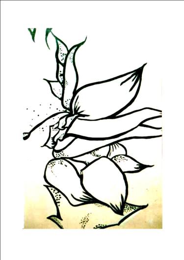 375x530 mono floral' drawing