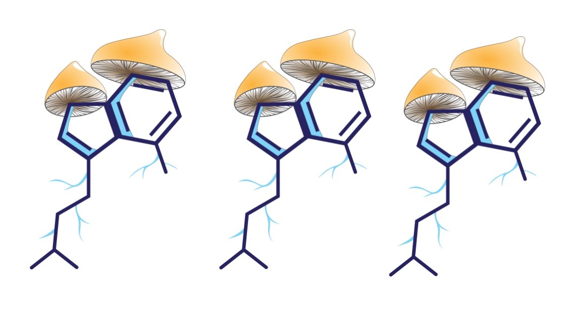 1144x612 No Magic Mushroom Monopoly
