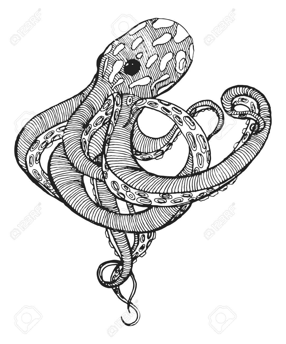 1083x1300 Sea Monster Clipart Line Drawing