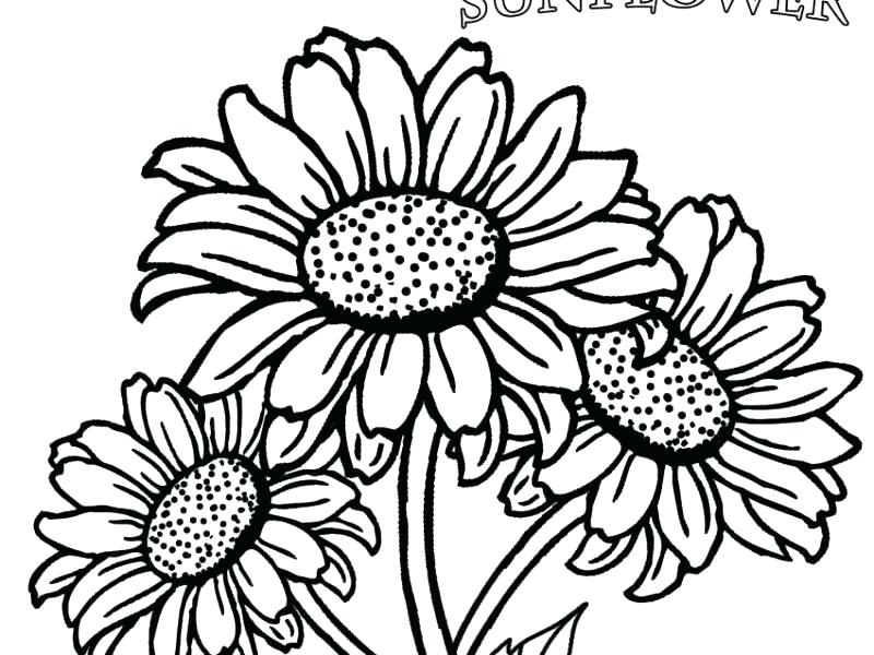 800x600 Coloring Pages For Adults Quotes Printable Girls Pdf