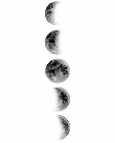 236x295 Moon Phases