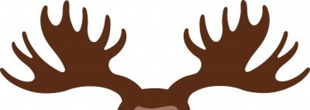 1200x426 Collection Of Free Ear Clipart Moose Amusement Clipart Circus