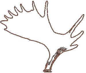 300x252 Collection Of Free Moose Drawing Rack Download On Ui Ex