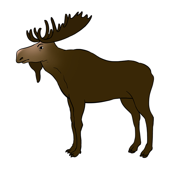 680x678 How To Draw A Moose