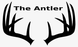 300x181 moose antlers png download transparent moose antlers png images