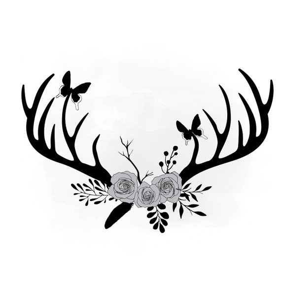 570x609 Antler Clipart Elements Deer Elk Moose Antlers Clip Art Inside
