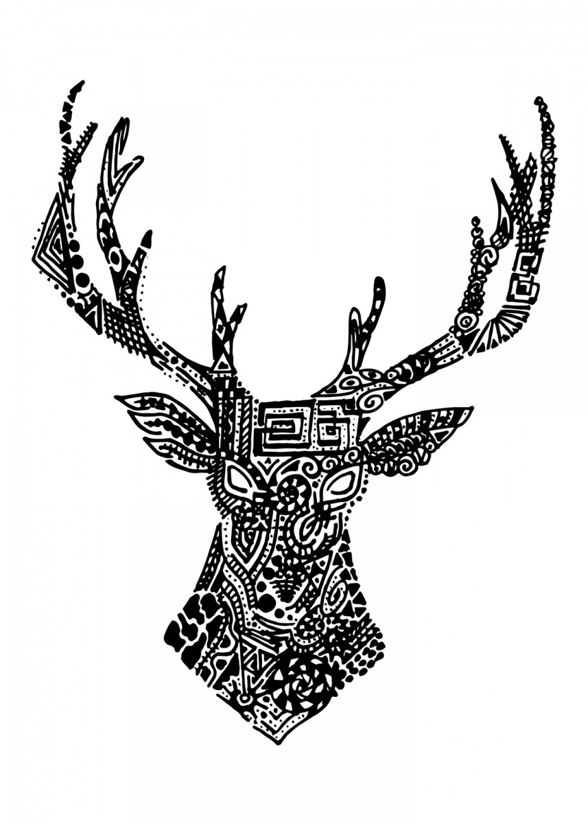 857x1200 Moose Posters