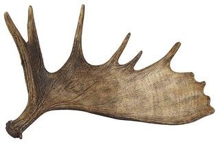 320x210 regina andrew moose antler