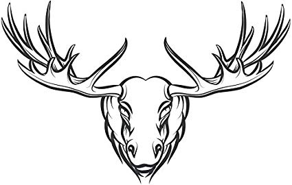 425x270 Black And White Majestic Strong Animal Drawing Vinyl