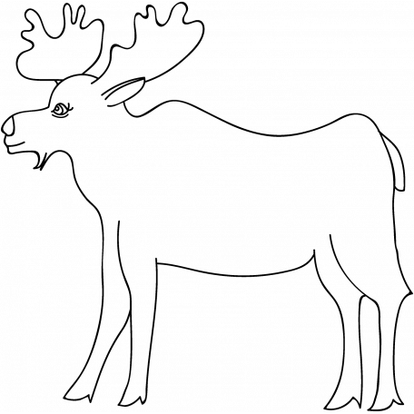 456x456 Animal Doodle Template Graphic