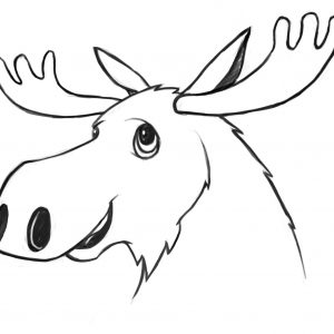 300x300 How To Draw A Moose New Cartoon Deer Drawing At Getdrawings