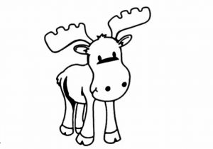 300x210 How To Draw A Moose Step