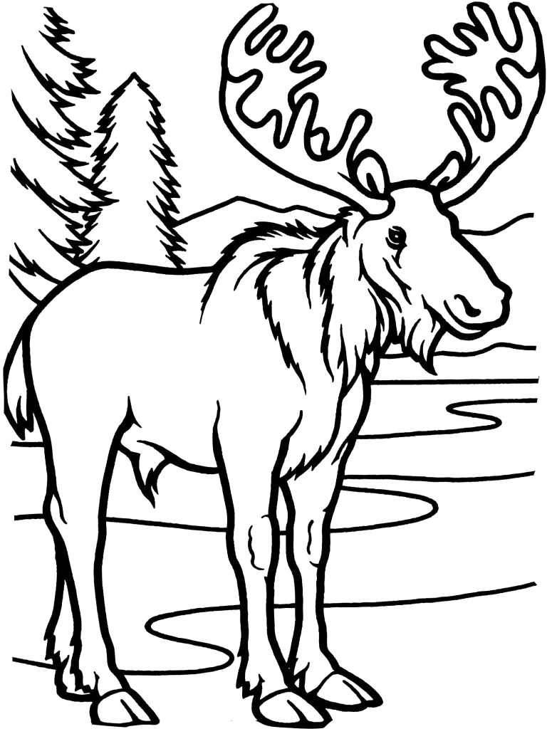768x1024 Moose Drawing Cartoon Christmas Coloring