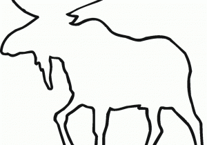 300x210 Easy Moose Drawing Moose Animals Pencil To Draw Stepstep