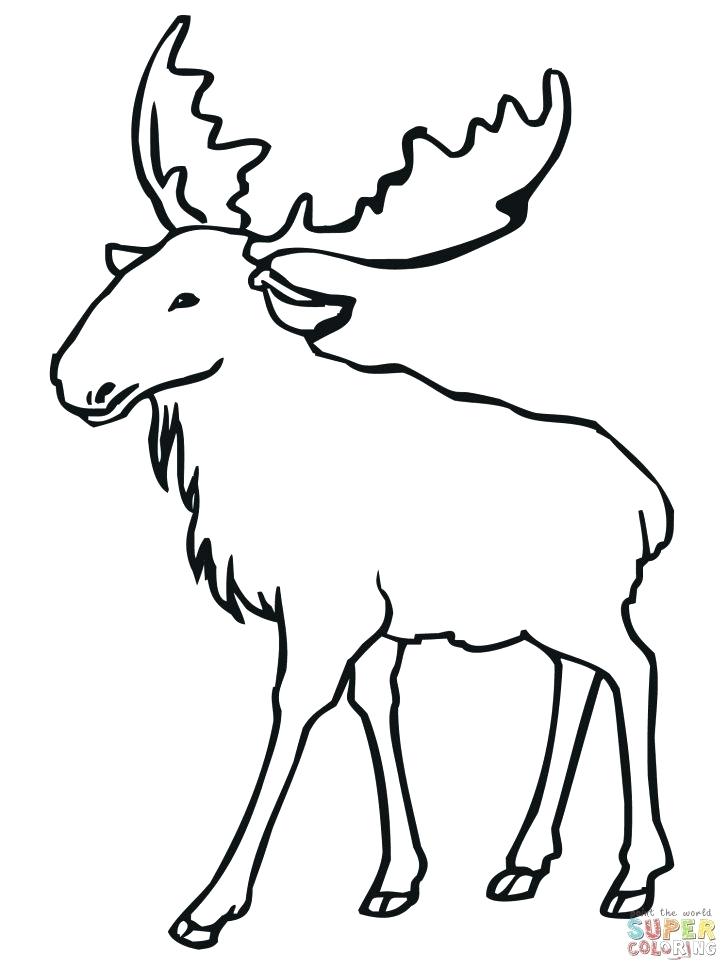 728x970 Free Printable Moose Coloring Pages