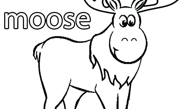 750x425 Moose Free Animal Coloring Pages Printable For Adults Pdf Mandala
