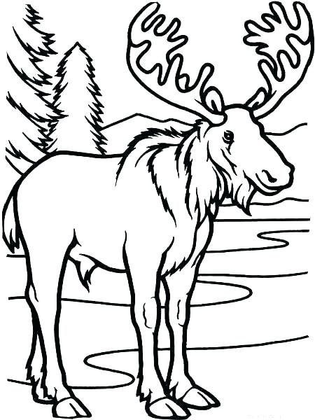 450x600 muffin coloring pages if you give a moose a muffin coloring