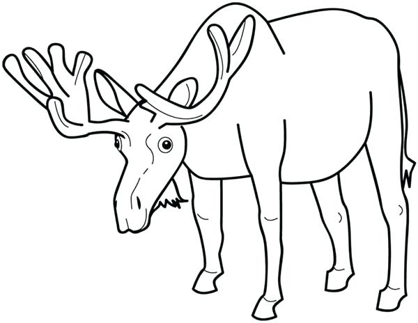 600x464 Coloring Pages For Kids Online To Print Flowers Disney Moose