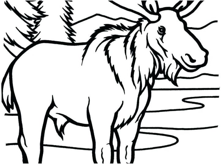 728x536 Coloring Pages Printable Halloween Scary Moose