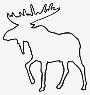 300x317 Deer Line Drawing Clipart
