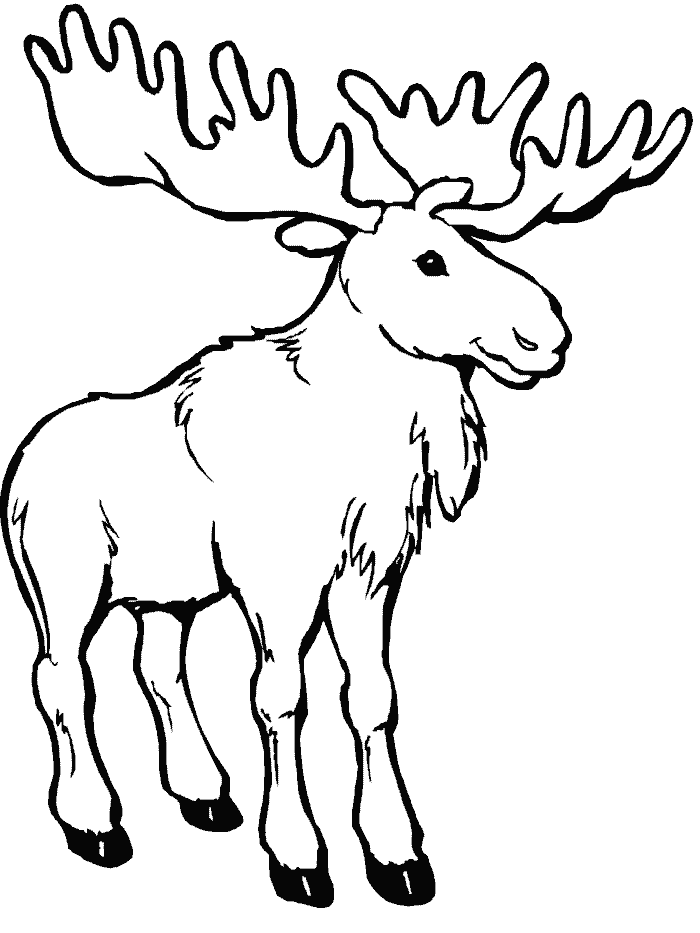 700x933 Collection Of Free Moose Drawing Outline Download On Ui Ex